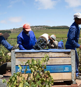 ¿Qué son los derechos de los trabajadores?