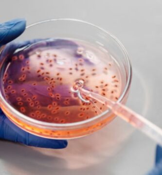 ¿Qué son los medios de cultivo en microbiología, cuál es su uso y los tipos que existen?