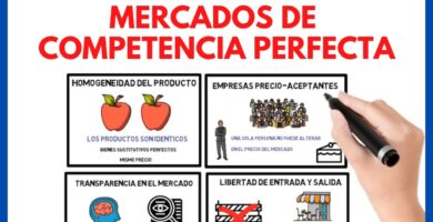 Ejemplos claros de competencia perfecta en el mercado