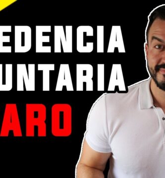 Excedencia contrato y cobrar desempleo posible
