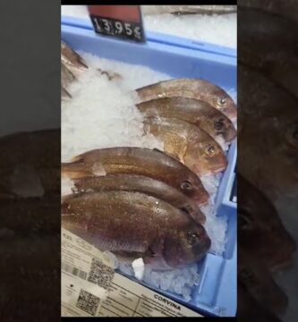 Precio salmón Mercadona: Comparativa y ahorro