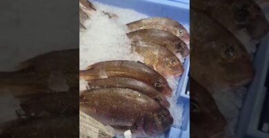 Precio salmón Mercadona: Comparativa y ahorro 4 Precio salmón Mercadona: Comparativa y ahorro