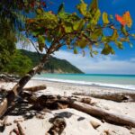 Descubre Las aventura de las Playas de Cabo Blanco en Perú