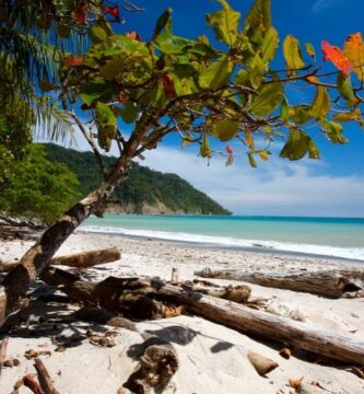 Descubre Las aventura de las Playas de Cabo Blanco en Perú